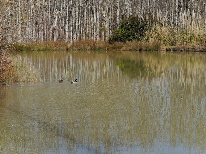 481083251_122128577300639694_2554264309675749209_n