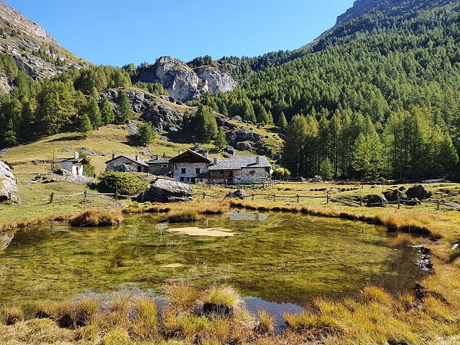Pendelbus vanaf de parkeerplaats Échaillon: toegang tot Le Monal