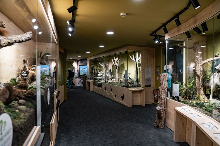 Museum of Mountain Animals