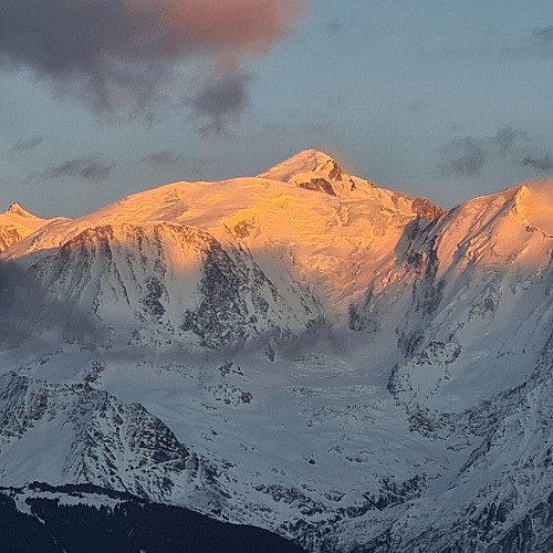 Chez Alcide" restaurant