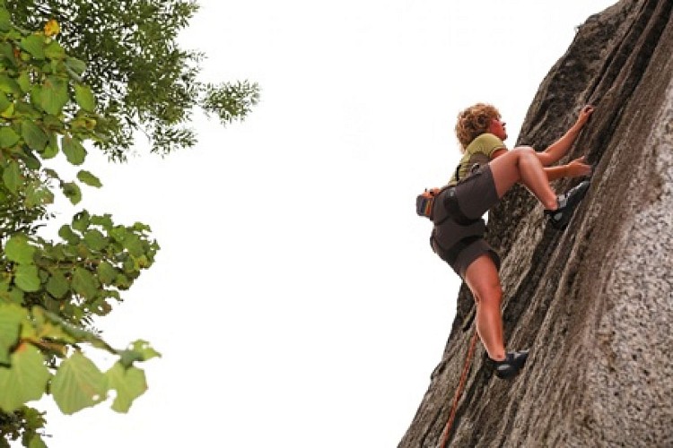 Bloc erratique - Granite