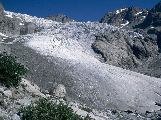 Le glacier Blanc en 1995