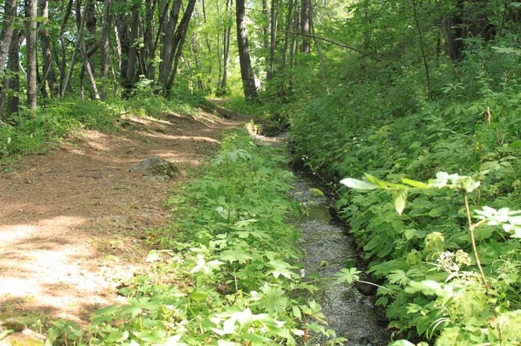 La restauration des canaux