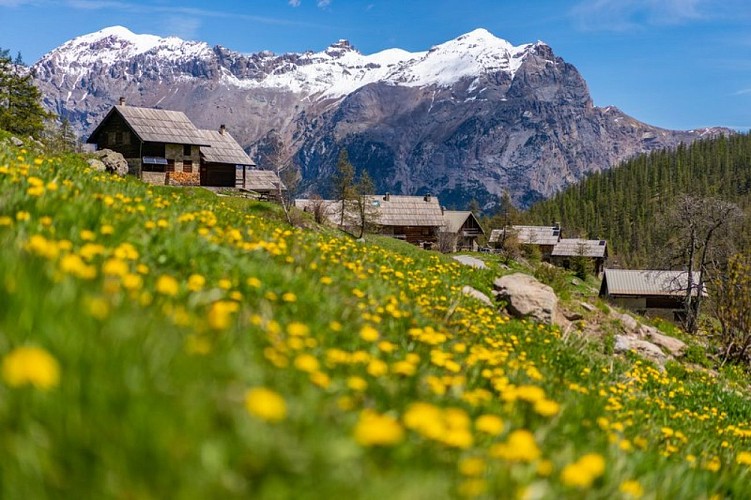 Hameau de Narreyroux