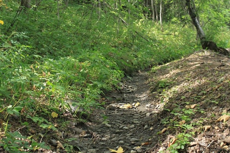 Les canaux d'irrigation