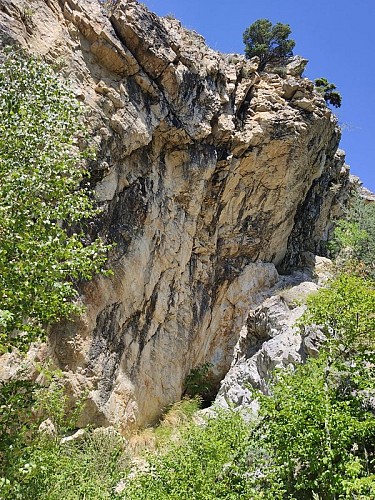 image du object