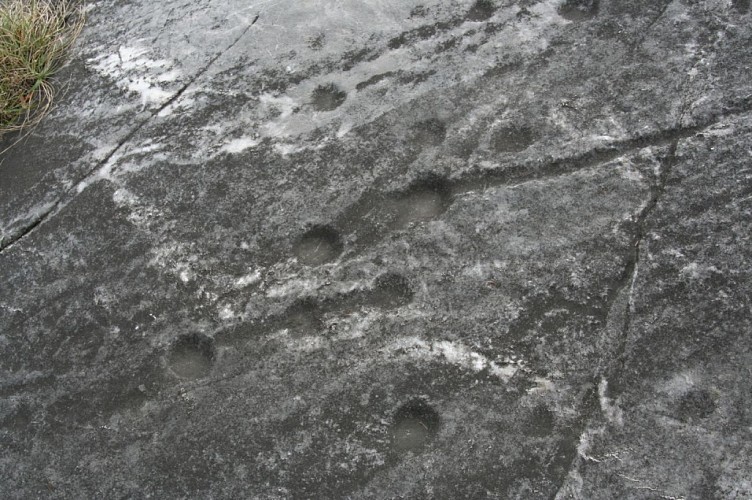 St Marcel's cupule stone