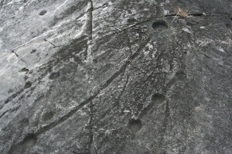 St Marcel's cupule stone