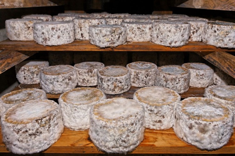 La Ferme de l'Abérieux : la boutique