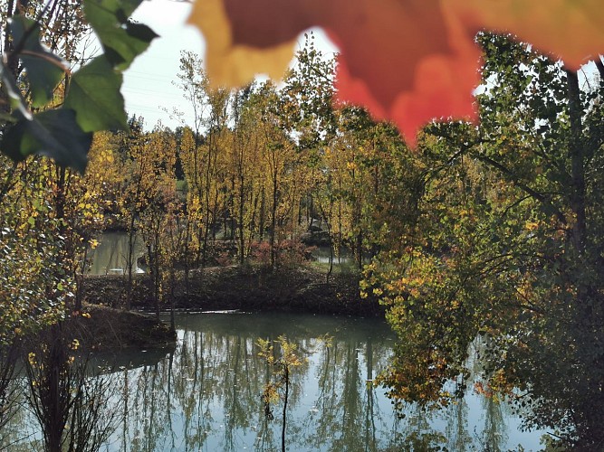 Le Parc de la Lère - Lac