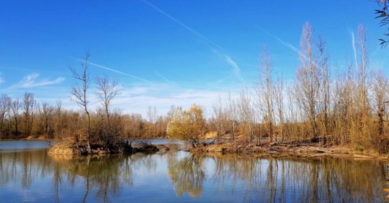 Le Parc de la Lère - Lac