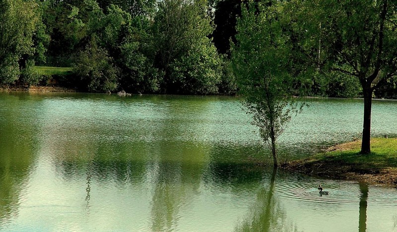 Le Parc de la Lère - Lac