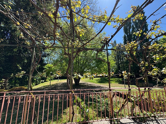 WhatsApp Image 2025-05-26 at 14.43.43 (3)