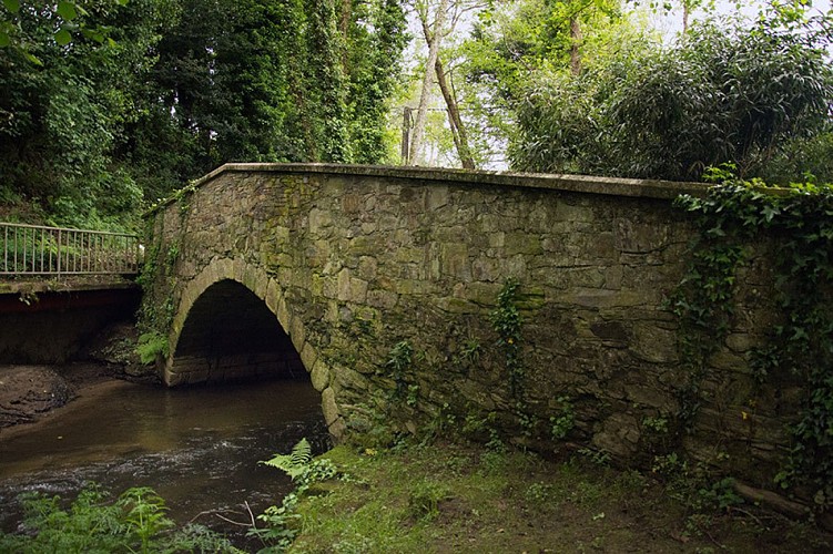 BAXOI BRIDGE