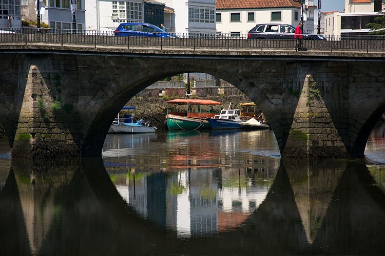 LA FIESTA DE OS CANEIROS