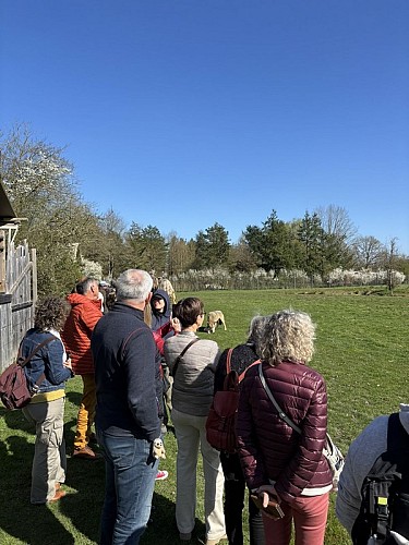 Rendez-vous en Terre Animale à Sury-aux-Bois