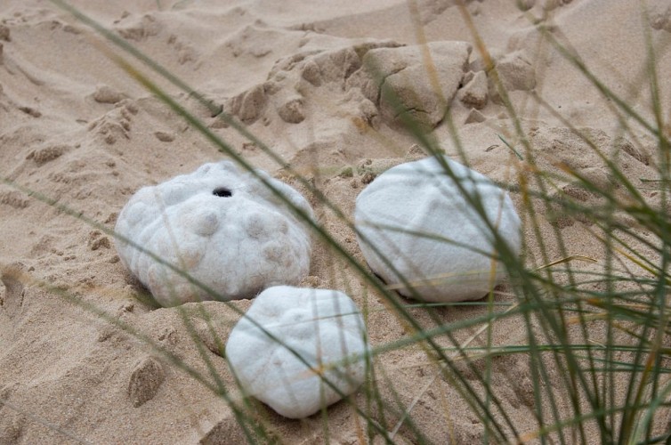 DÉCOUVERTE DU FEUTRAGE