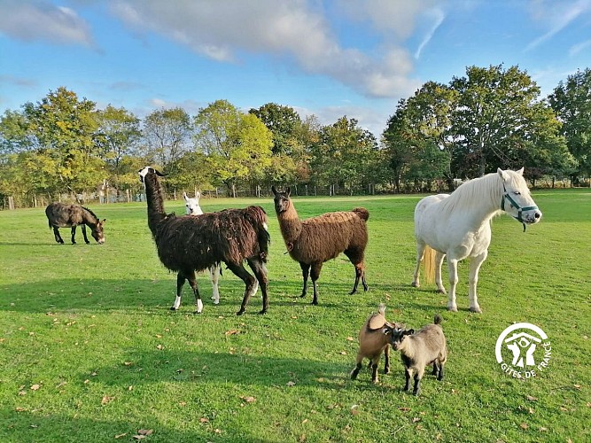 RÊVER AILLEURS, 4 INSOLITES, 12 PERS