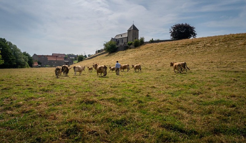 Lavoir-saint-hubert-primtemps