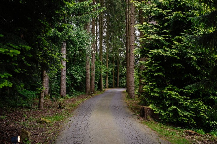 St vith hotel restaurant am steineweiher 13 sarah linden fotografie