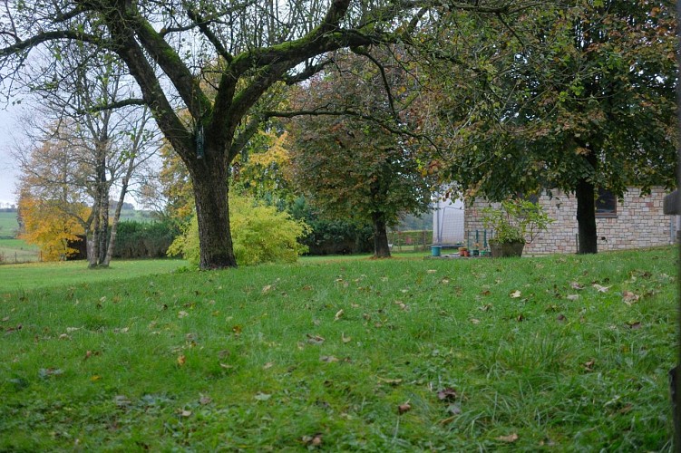 Emmels fewo eifeltraum marianus 18 guido henkes