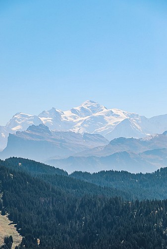Table de pique-nique : Le Mirador Gourmand