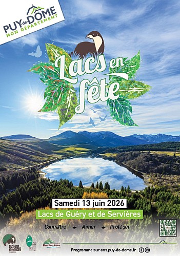 Grimpe dans les arbres