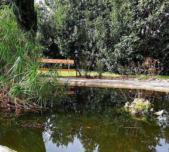 bassin aux poissons du Domaine de Garat
