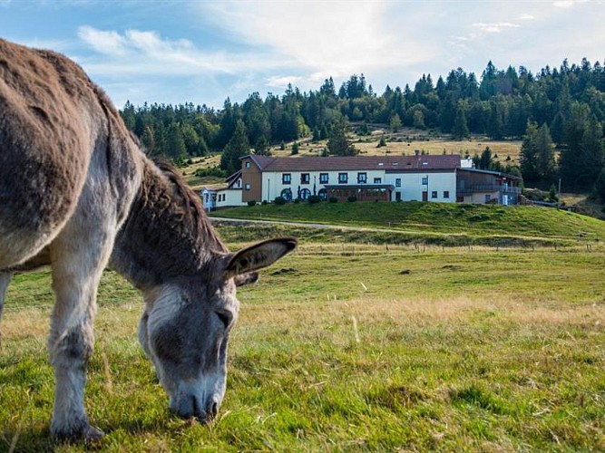 Hôtel-restaurant La Chaume de Balveurche