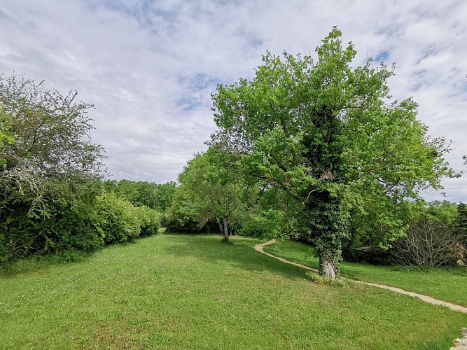 Casa rural "A la douceur des Chênes"