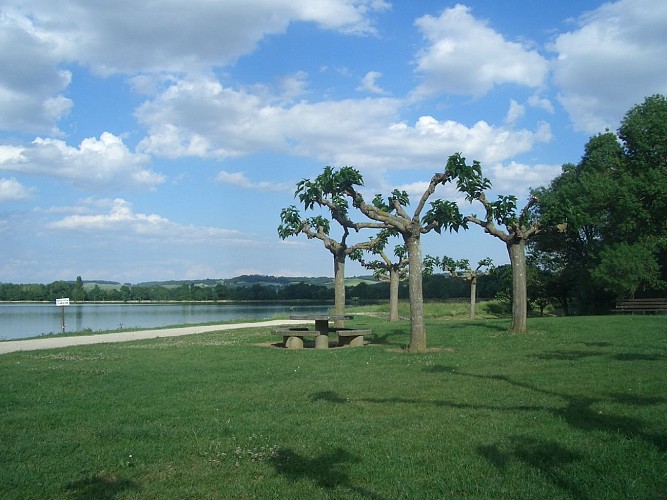 Aire de pique-nique - Base de loisirs de Beaumont