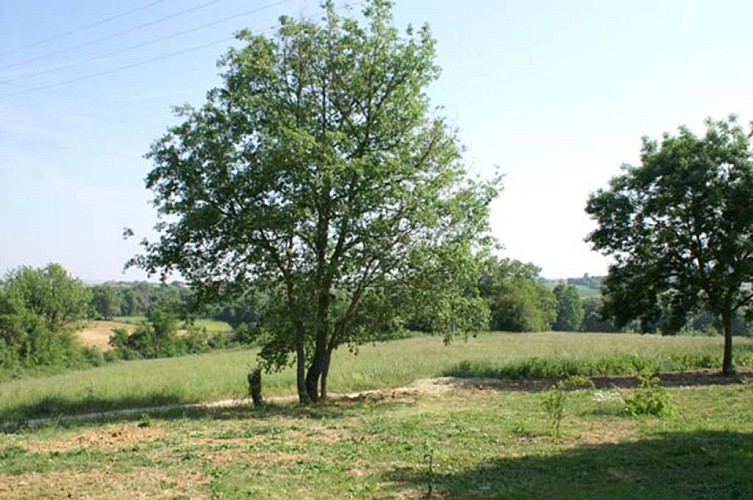 Cottage " The oaks"