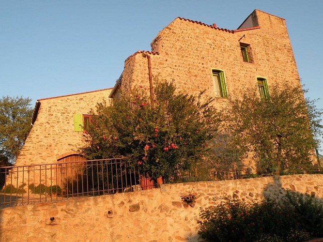 vin-chateau-lafforgue-façade-domaine-corneilla-la-riviere