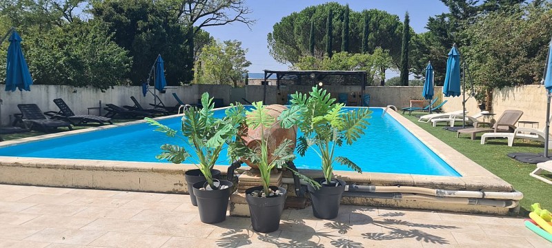 Hôtel Carina - Restaurant