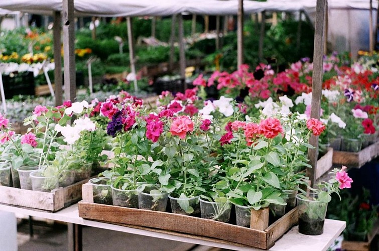 Marché aux fleurs & gourmandises