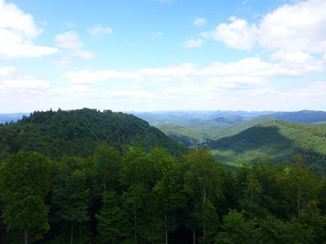 Le Château de Wegelnburg vu depuis le Château de Hohenbourg