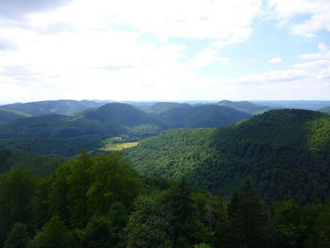 Vue depuis le Château de Hohenbourg