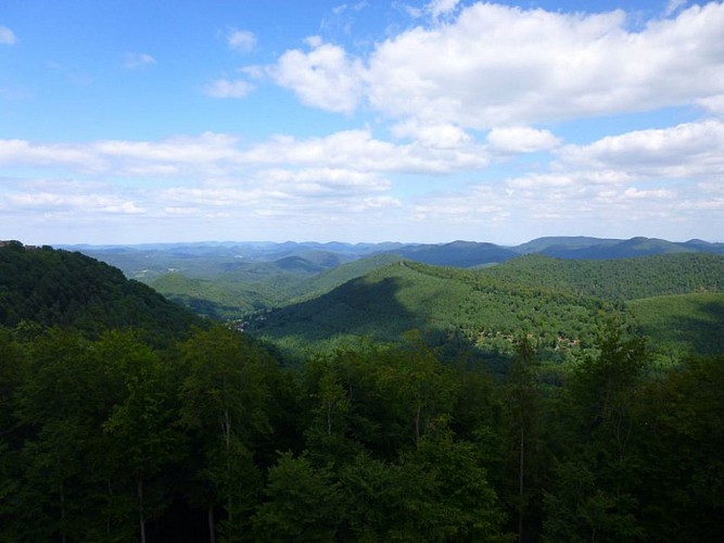 Vue depuis le Château de Hohenbourg
