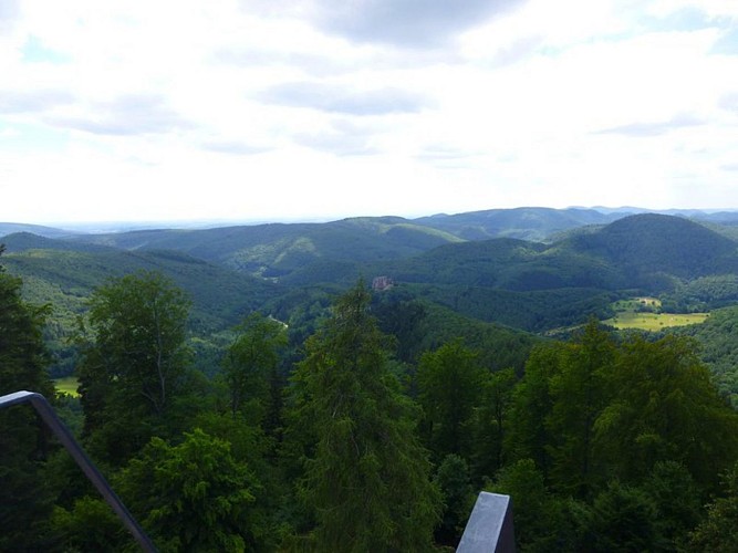 Vue du Château de Fleckenstein depuis le Château de Hohenbourg