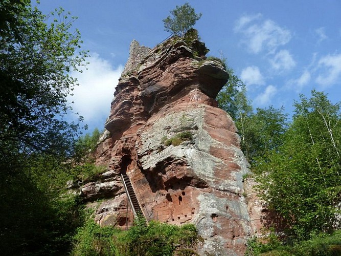 Ruines du Château fort de Lutzelhardt