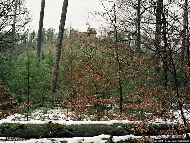 Ruines du Château fort de Lutzelhardt