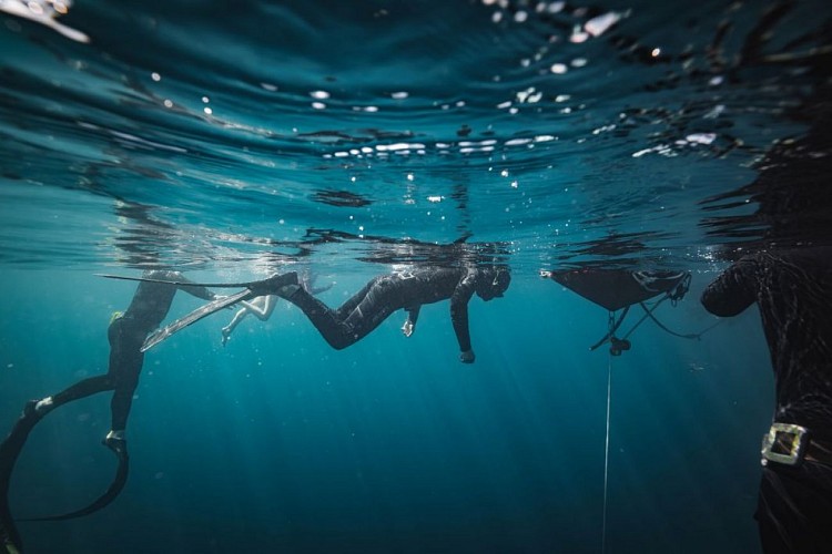 Prana Freediving - Ecole d'apnée4