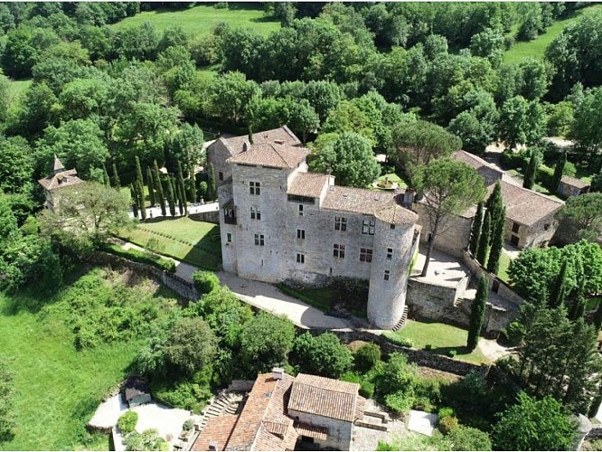 Casos Castillo - Jardines