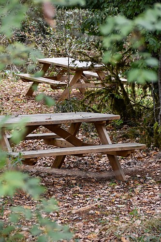 Aire de pique-nique de la Grotte du Bosc
