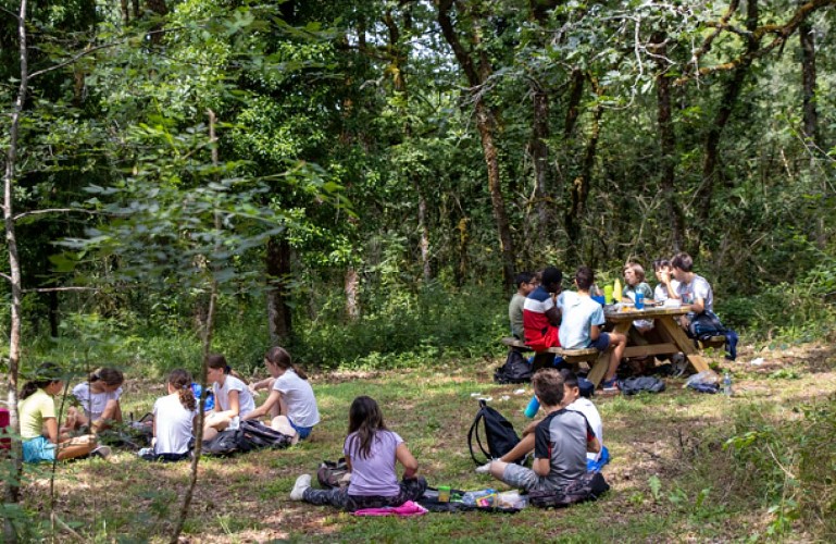 Aire de pique-nique de la Grotte du Bosc