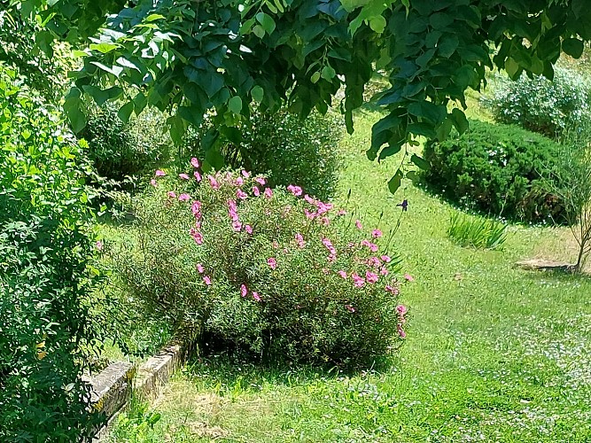 Gîte "Le Piboul