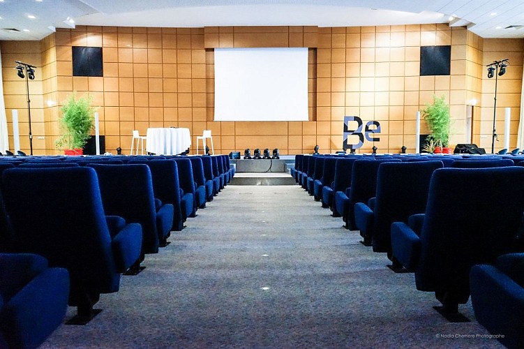 Espace congres 4