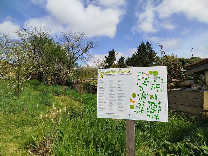 Cluny - Jardin d'avril @A. Sève _ Cluny Sud Bourgogne (3)