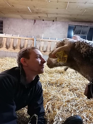 La bergerie de Santagny