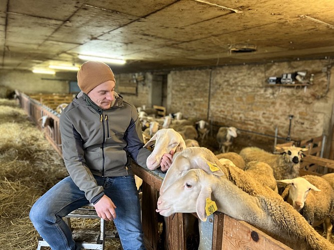 La bergerie de Santagny